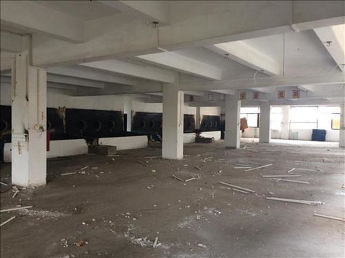 丹東市廠房承重安全檢測 第三方咨詢單位助力安全生產(chǎn)與技術(shù)咨詢解讀