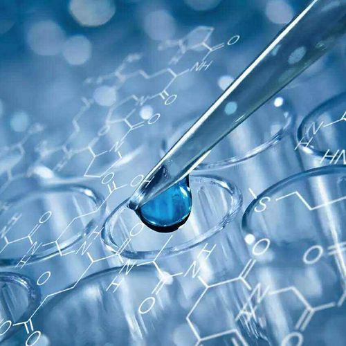 親子鑒定為出國留學(xué)保駕護(hù)航 技術(shù)咨詢?nèi)馕? class=